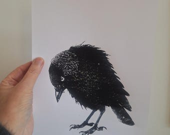 Hand-printed linocut / Jackdaws / limited edition / black and white / art print / modern artwork / bird linocut