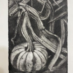 May include: A charcoal drawing of a pumpkin with a long, curved stem and surrounding foliage. The pumpkin has vertical stripes and is set against a dark background with overlapping leaves and stems. The artwork is monochromatic.