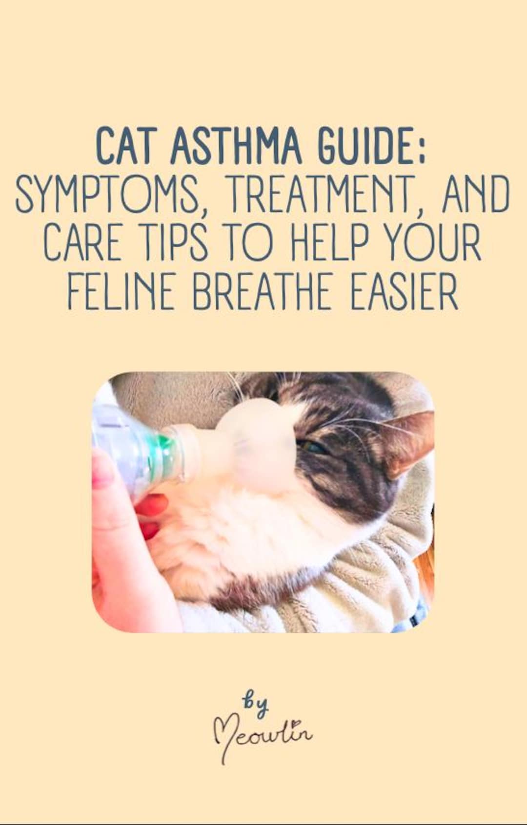 Cat Asthma Guide: Symptoms, Treatment, and Care Tips to Help Your ...