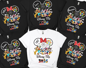 Camiseta personalizada de viaje familiar a Disney 2026, camiseta de vacaciones familiares en Disneyland, camiseta familiar a juego de Disneyland