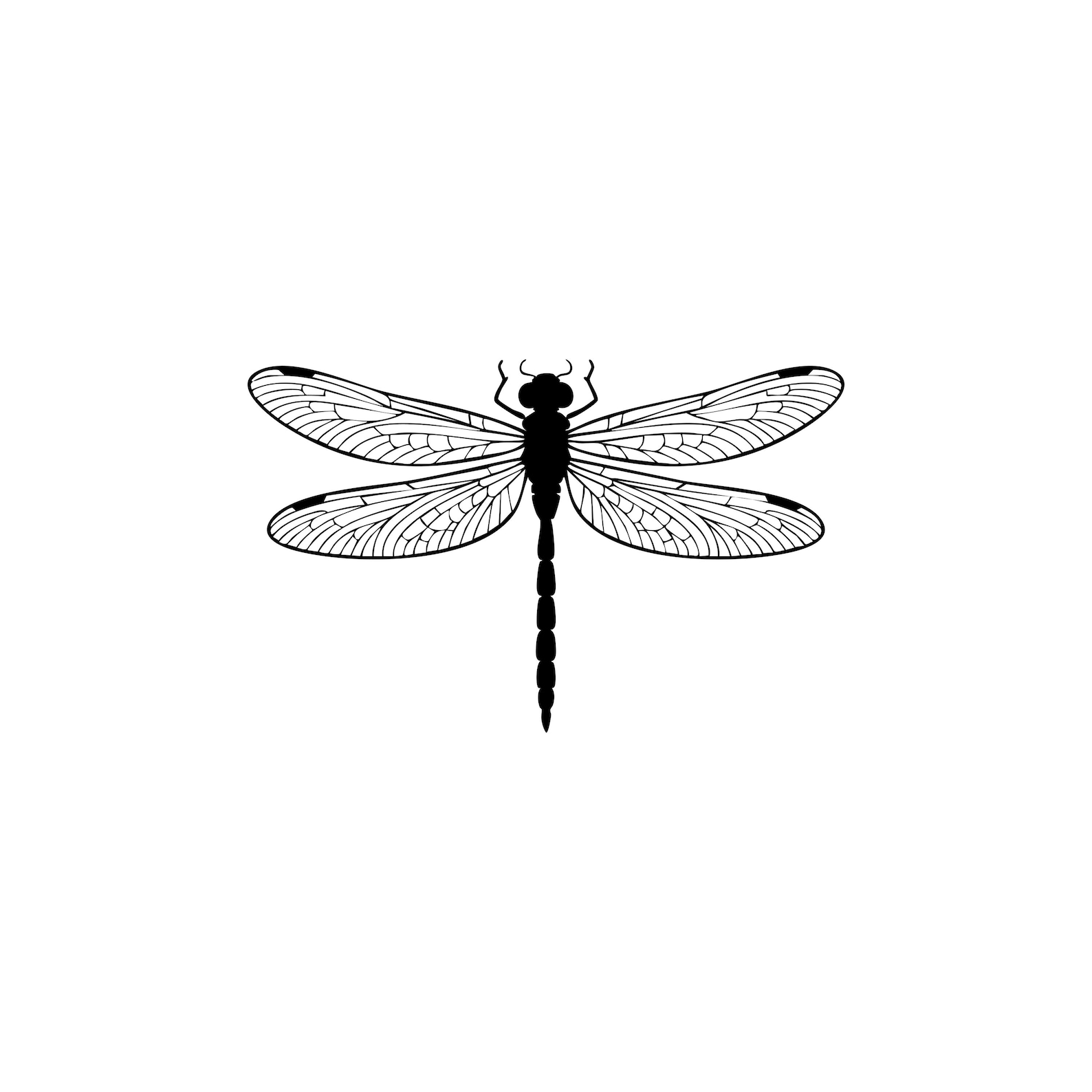 Dragonfly SVG PNG: Insect Silhouette Cut File for Cricut and Silhouette ...