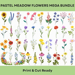 Pastelbloem SVG megabundel, weide bloemen clipart png, wilde bloemen botanische ontwerpen, Cricut print- en snijbestanden