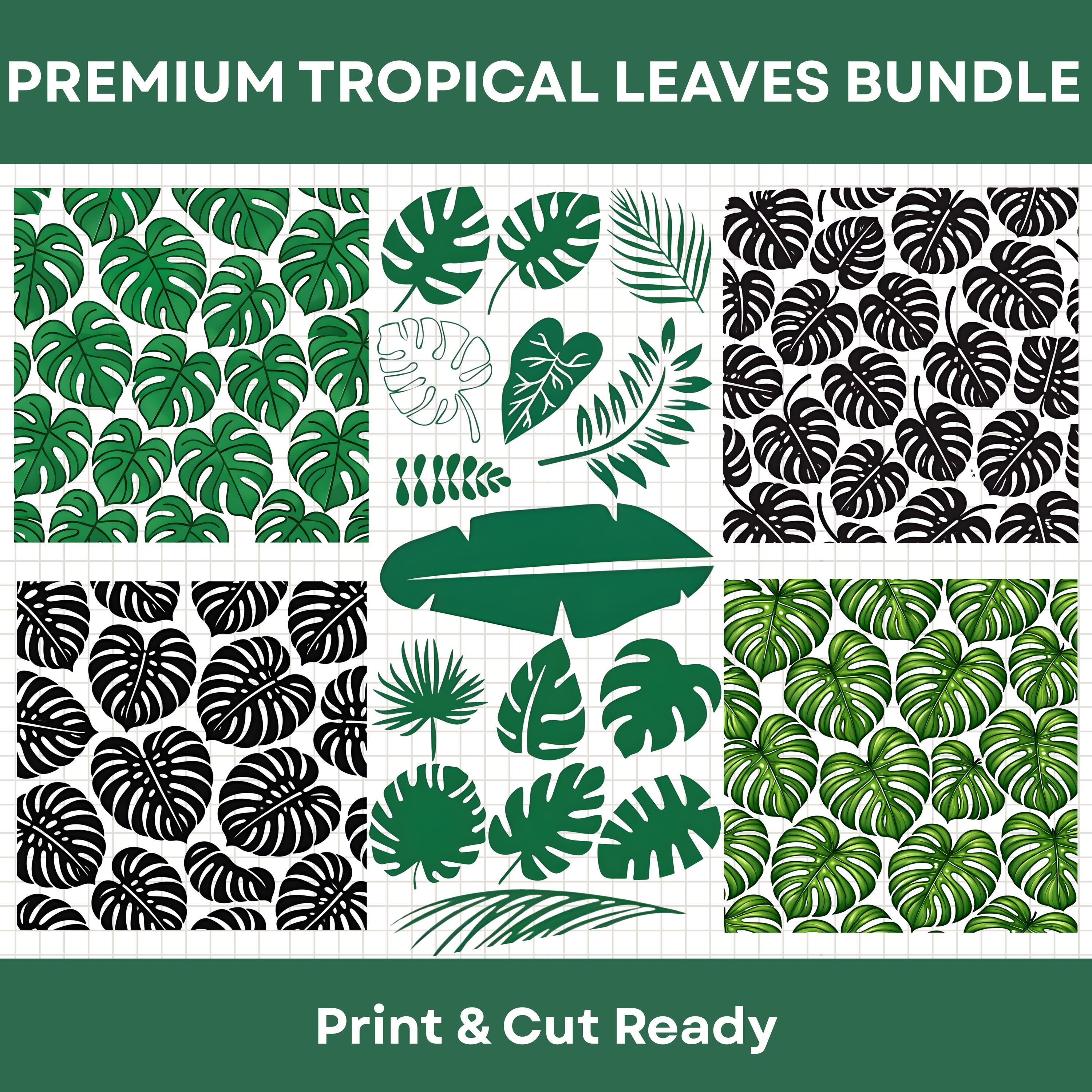 Premium Tropical Leaves SVG PNG Bundle, Monstera Leaf Clipart Set ...
