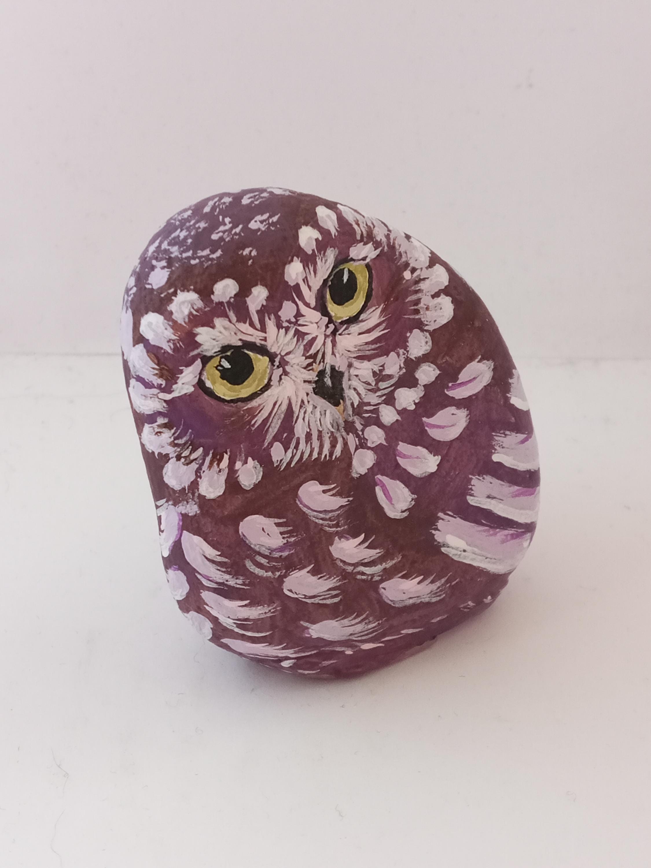 Owl Hand painted stone. Natural river stones art. Paperweight Home Decor Painting. Feather Bird Coll