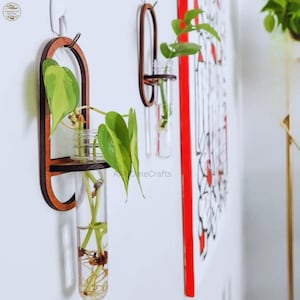 Może przedstawiać: Drewniane, montowane na ścianie stacje do rozmnażania z szklanymi probówkami z zielonymi roślinami. Stacje mają ciemnobrązową, owalną ramę z małą półką. Ściana jest biała, widoczny jest panel dekoracyjny z czerwonymi akcentami.