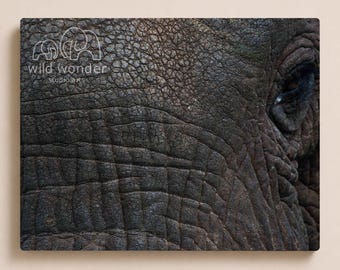 Digitaler Download - Elefantenauge Fotografie: Afrikanische Wildtier Kunst