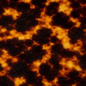 May include: Close-up of a tortoiseshell pattern. The image displays a repeating pattern of dark brown and black blotches against a warm, golden-yellow background. The texture appears smooth and glossy, reminiscent of polished material.