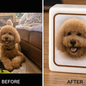 May include: A rectangular white stone plaque featuring a centred portrait of a curly-haired tan dog with a brown border. The image shows a before and after comparison, with the left side displaying the dog in a room and the right side the plaque.