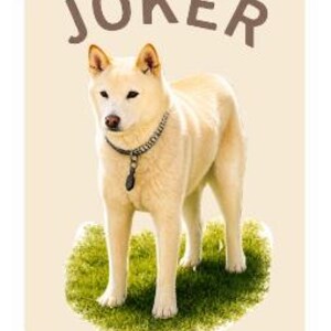 Custom Mahjong Joker Decals image 4