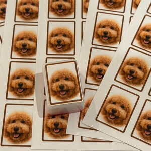 May include: A rectangular rubber stamp featuring a custom portrait of a golden-brown curly-haired dog with a smiling expression, positioned on top of several sheets of matching stickers that display the same dog portrait in a brown-bordered frame.