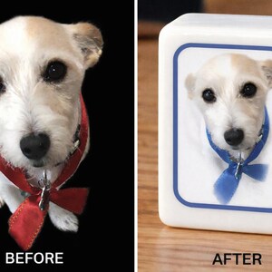 May include: A white and tan dog with a red ribbon collar is shown on the left. On the right, a rectangular white block features a printed image of the same dog wearing a blue ribbon collar, framed by a blue border, with the text BEFORE and AFTER.