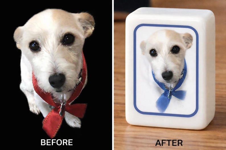 May include: A white and tan dog with a red ribbon collar is shown on the left. On the right, a rectangular white block features a printed image of the same dog wearing a blue ribbon collar, framed by a blue border, with the text BEFORE and AFTER.