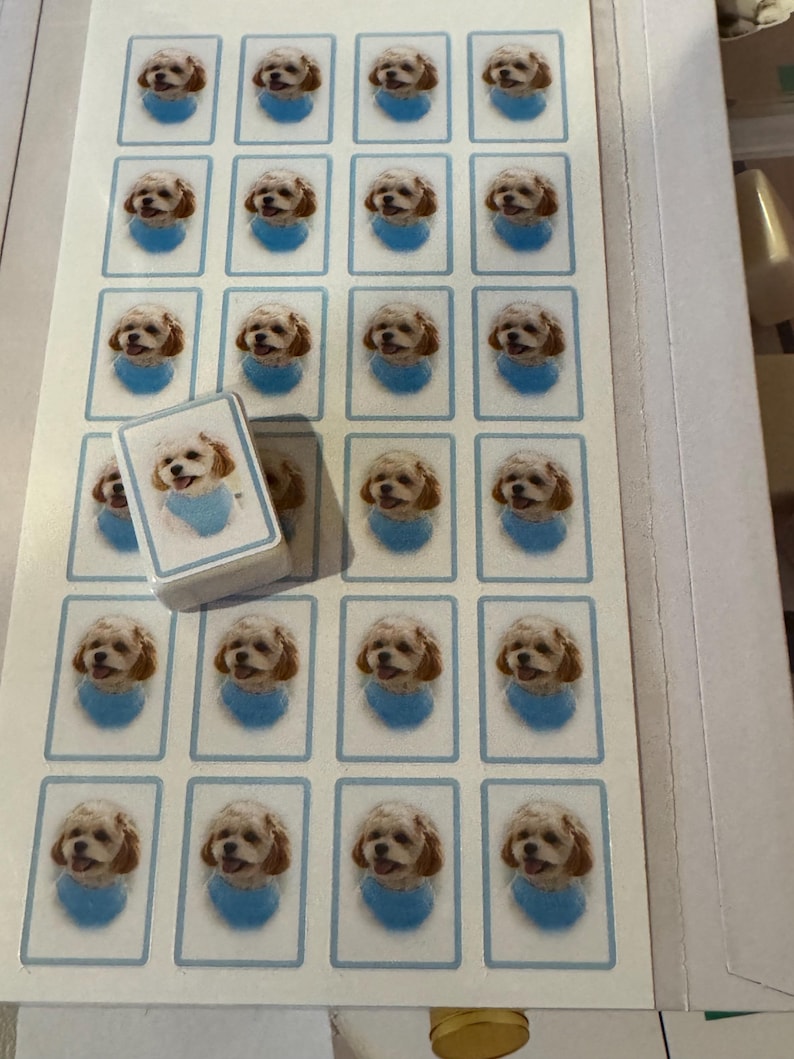 May include: A rectangular sheet of white stickers featuring a repeating portrait of a small, light-coloured dog wearing a blue bandana. A single, thicker, rectangular tile with the same dog image is placed on top of the sticker sheet.