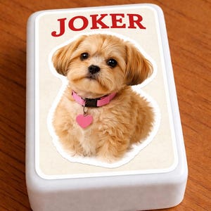 May include: A white playing card box with the word "JOKER" in red. The box features a cute, fluffy, light brown dog wearing a pink collar with a heart-shaped tag. The dog is sitting on a cream-colored background.