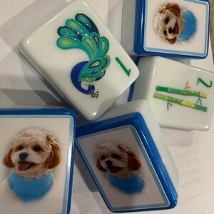 May include: A collection of five rectangular mahjong tiles with white faces and blue edges. Two tiles feature a photographic portrait of a small light-coloured dog wearing a blue collar, one tile displays a green peacock, and one shows green bamboo stalks.