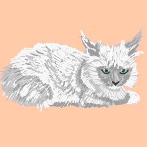 Può includere: Illustrazione digitale di un gatto bianco con sfumature grigie e occhi blu, sdraiato su uno sfondo color pesca. Il gatto ha il pelo lungo e le orecchie a punta, che gli conferiscono un aspetto leggermente selvatico.