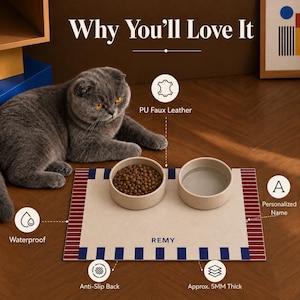 May include: A rectangular pet feeding mat made of PU faux leather, featuring a cream center with the name REMY printed in blue, bordered by blue and red stripes. The mat is waterproof, has an anti-slip back, and is approximately 5mm thick.