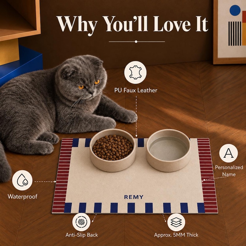 May include: A rectangular pet feeding mat made of PU faux leather, featuring a cream center with the name REMY printed in blue, bordered by blue and red stripes. The mat is waterproof, has an anti-slip back, and is approximately 5mm thick.