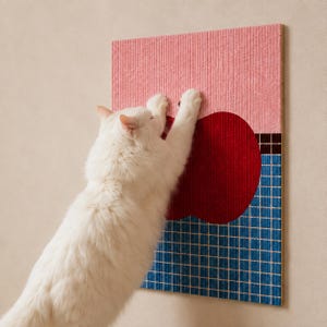 May include: A white cat with long fur reaches up to scratch a rectangular wall-mounted panel. The panel features a pink top section, a large red apple shape in the center, and a blue grid pattern on the bottom, separated by a thin black line.