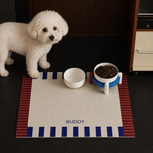 May include: A rectangular pet mat in cream with red striped borders and blue rectangular accents, featuring the name BUDDY in blue text. Two white bowls are placed on the mat, one containing brown kibble on a blue and red elevated stand.