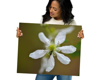 Stampa su metallo con fiori di mora • Decorazione da parete con fotografia naturalistica e decorazione botanica audace