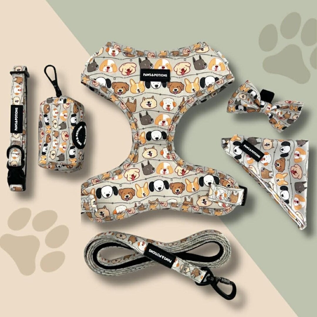 Paws & Pals – Paws Everyday Collection - Available to Buy Separately or ...