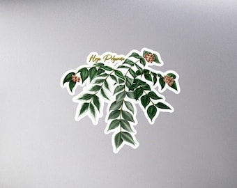 Hoya polyneura - Bubble-free stickers