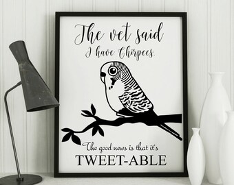 Parakeet art print, wall decor, funny gift, bird lover gift, artwork