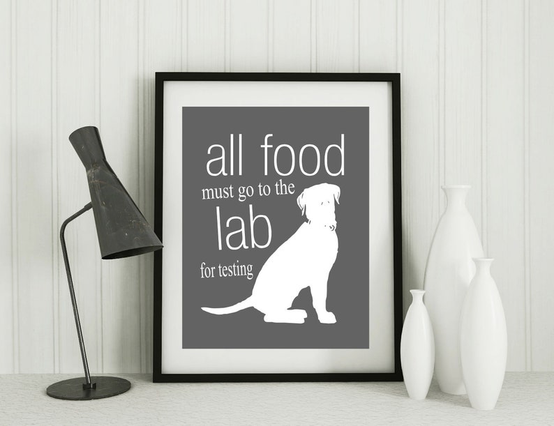 Cadeaux labrador, labrador retriever tous les aliments doivent aller au laboratoire pour être testés, drôle d'impression de chien image 4