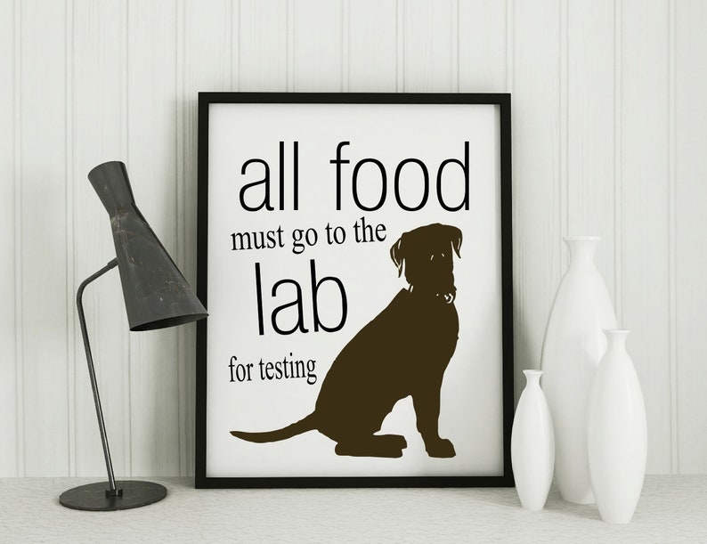 Cadeaux labrador, labrador retriever tous les aliments doivent aller au laboratoire pour être testés, drôle d'impression de chien image 3