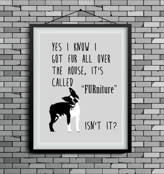 funny dog art, Boston Terrier print, wall decor, dog lover gift