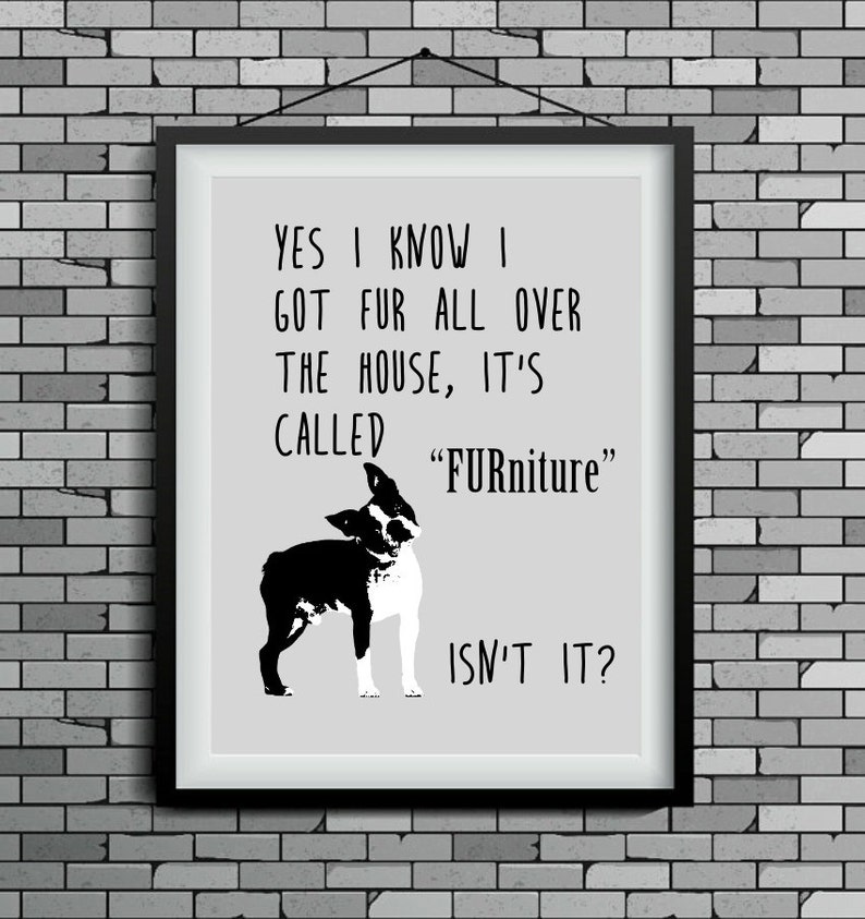 Puede incluir: L&aacute;mina art&iacute;stica enmarcada con una ilustraci&oacute;n en blanco y negro de un Boston Terrier. El texto "YES I KNOW I GOT FUR ALL OVER THE HOUSE, IT'S CALLED 'Furniture' ISN'T IT?" est&aacute; sobre un fondo gris claro.