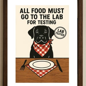 May include: Framed print with a black Labrador illustration wearing a red and white checkered bandana. The text reads "ALL FOOD MUST GO TO THE LAB FOR TESTING" with a "LAB TESTED" seal. A fork, knife, and plate are on a wooden table.