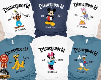 Retro Disneyworld Est 1971 Florida Shirt, Cute Mickey And Friends Tshirt, Disney All Characters Tee, WDW Disneyland Birthday Matching Shirts
