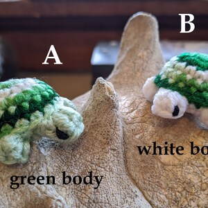 Tiny turtles choose your color