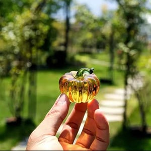 Può includere: Una piccola zucca decorativa in vetro, di colore ambra traslucido con un gambo verde. La zucca ha un corpo a coste ed è tenuta in mano. Lo sfondo è sfocato, con alberi verdi e luce solare.