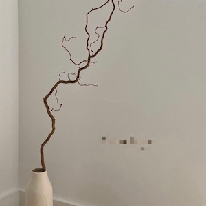 May include: A tall, cylindrical, off-white ceramic vase with a textured surface holds a single, long, winding brown branch. The branch features multiple twists and thin, bare twigs that extend upward and outward in a natural, organic formation.