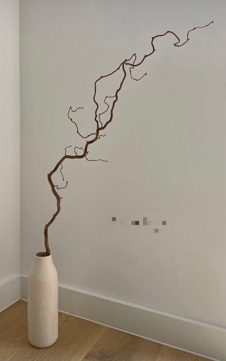 May include: A tall, cylindrical, off-white ceramic vase with a textured surface holds a single, long, winding brown branch. The branch features multiple twists and thin, bare twigs that extend upward and outward in a natural, organic formation.