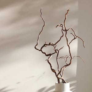 May include: A set of slender, light brown, twisted willow branches extending upward from a plain white cylindrical vase. The branches feature a natural, gnarled texture with multiple thin, curving stems that reach out in various directions.
