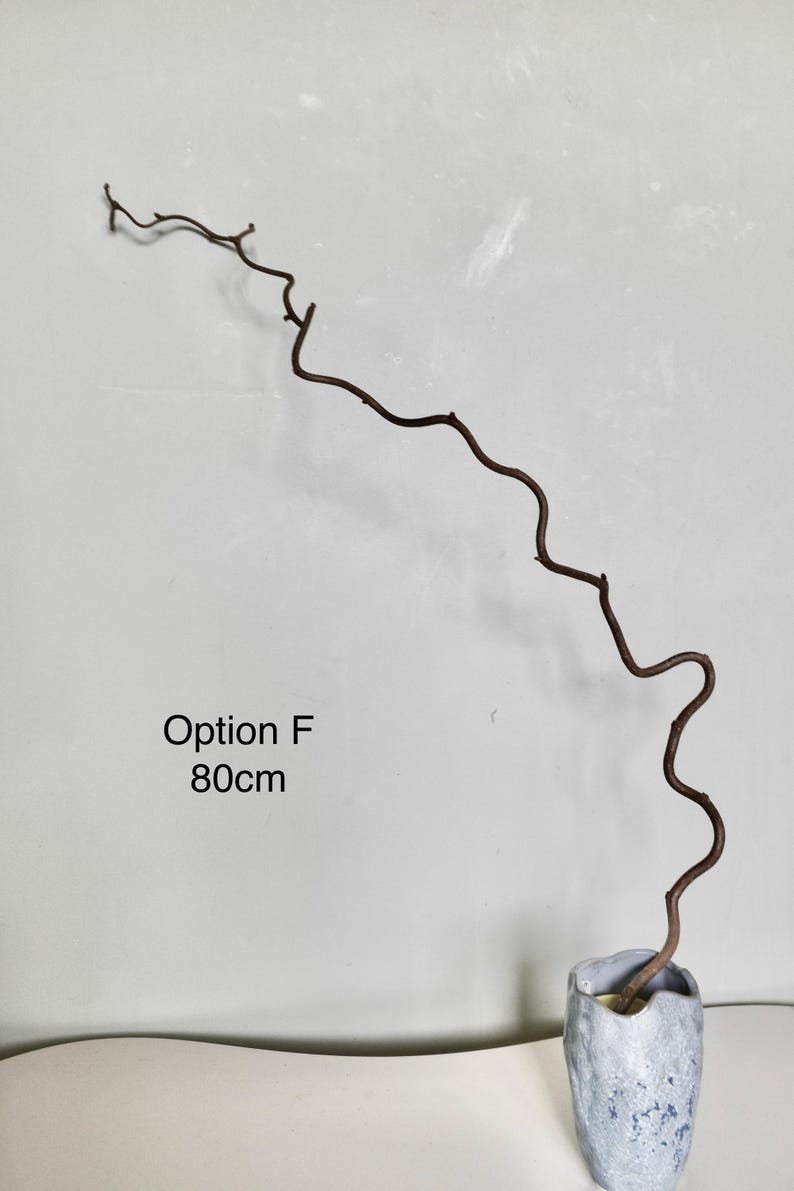 Dried twisted willow branches 80 cm – minimalist Japanese decoration, natural branches for vase, wabi-sabi shop decor, zen wood Option F