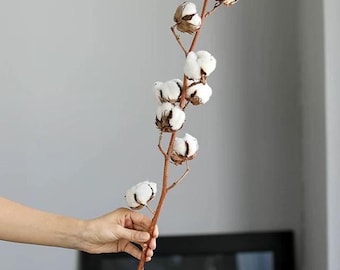 Natural cotton stem, 60–70 cm, 8–9 heads | Boho decor | Dried flowers for vase | Natural dried cotton stem, 8 heads | Farmhouse zen decor