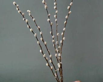 Dried willow catkin branches – natural Japanese-style decoration, minimalist stems, shop and interior decor