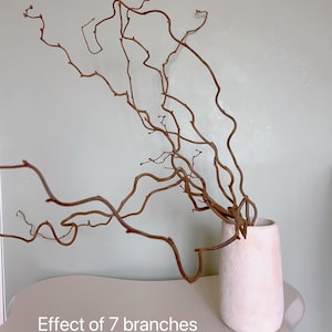 Dried twisted willow branches 80 cm – minimalist Japanese decoration, natural branches for vase, wabi-sabi shop decor, zen wood image 18
