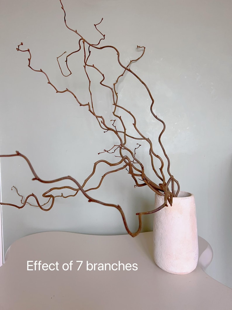 Dried twisted willow branches 80 cm – minimalist Japanese decoration, natural branches for vase, wabi-sabi shop decor, zen wood image 18