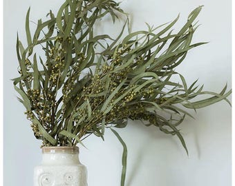 Ramas de eucalipto secas con bayas: follaje natural para la decoración de jarrones, tiendas e interiores minimalistas.
