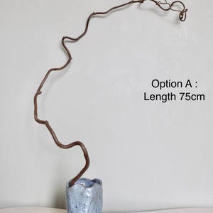 Dried twisted willow branches 80 cm – minimalist Japanese decoration, natural branches for vase, wabi-sabi shop decor, zen wood Option A