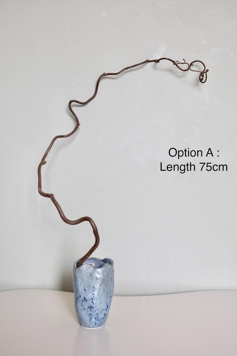 Dried twisted willow branches 80 cm – minimalist Japanese decoration, natural branches for vase, wabi-sabi shop decor, zen wood Option A