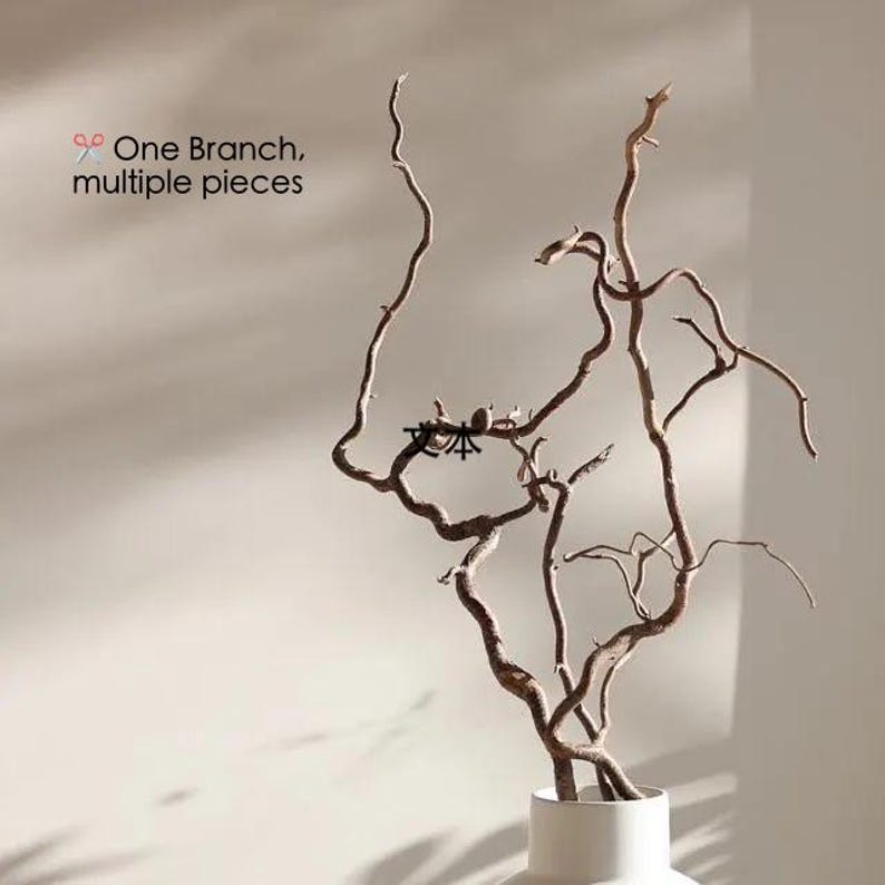 Dried twisted willow branches 80 cm – minimalist Japanese decoration, natural branches for vase, wabi-sabi shop decor, zen wood image 7