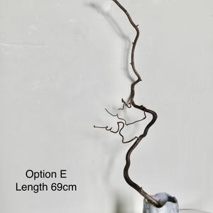 Dried twisted willow branches 80 cm – minimalist Japanese decoration, natural branches for vase, wabi-sabi shop decor, zen wood Option E