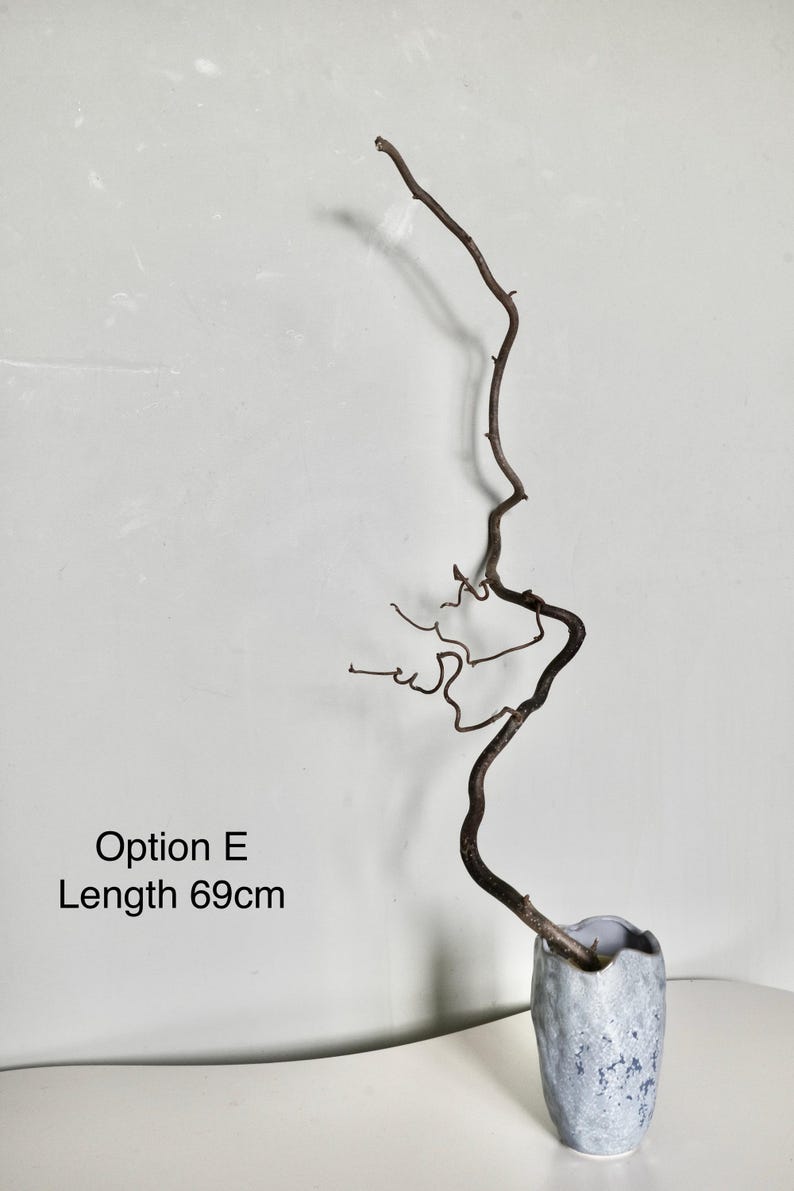 Dried twisted willow branches 80 cm – minimalist Japanese decoration, natural branches for vase, wabi-sabi shop decor, zen wood Option E